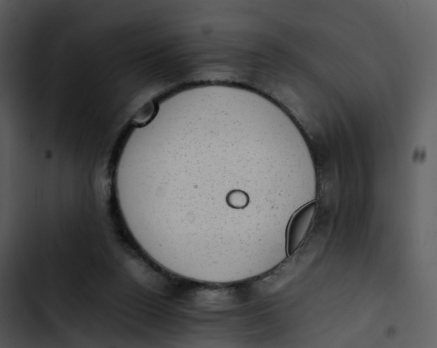 X0000102860160200809081314