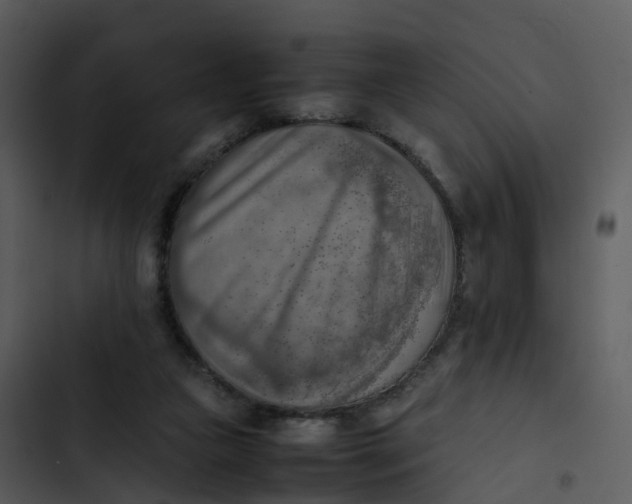 X0000102860161200809081314