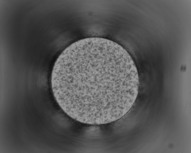 X0000102860162200809081314