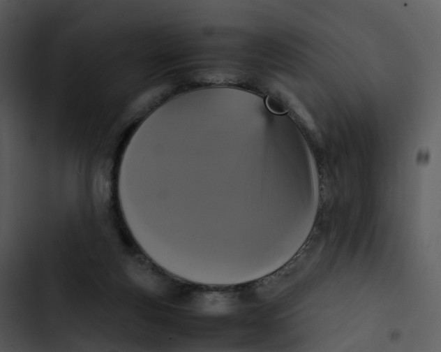 X0000102860163200809081314