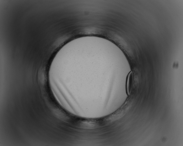 X0000102860164200809081314