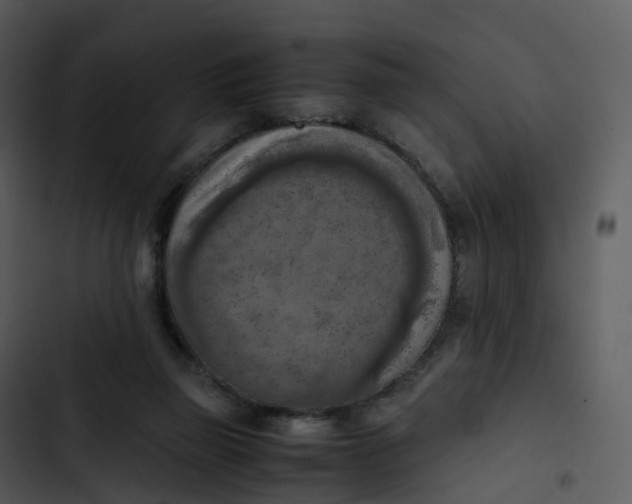 X0000102860165200809081314