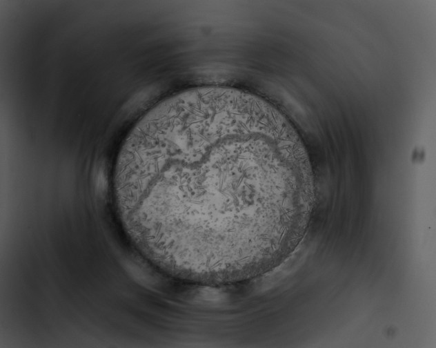 X0000102860166200809081314