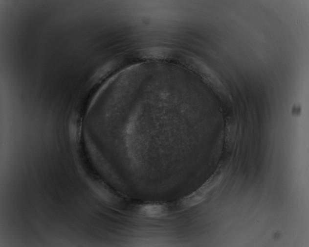 X0000102860168200809081314