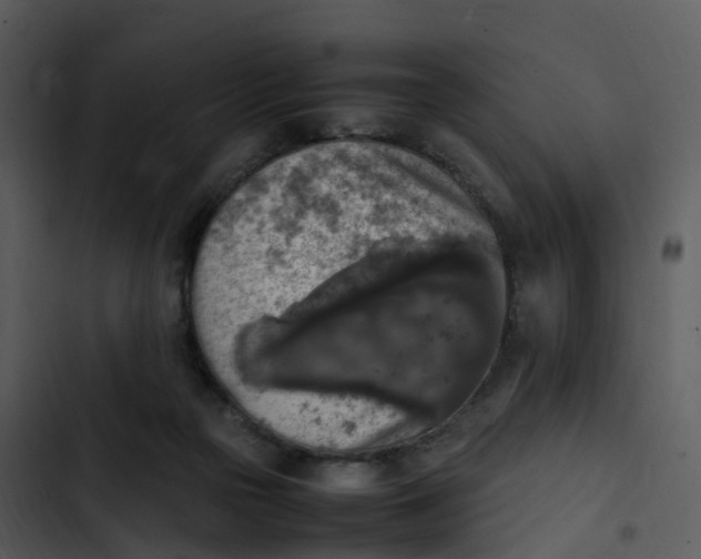 X0000102860169200809081314