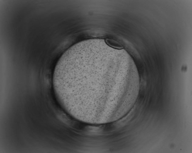 X0000102860170200809081314