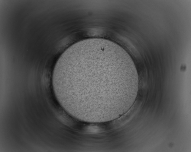 X0000102860171200809081314