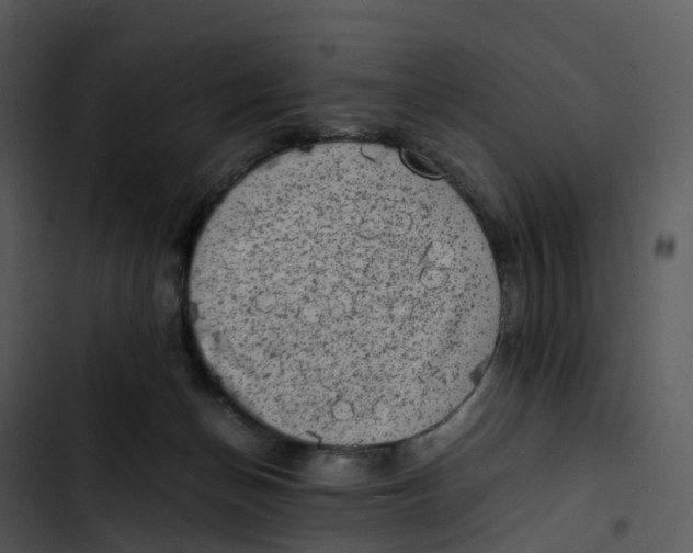 X0000102860174200809081314