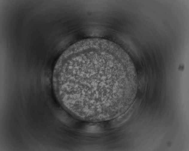 X0000102860175200809081314