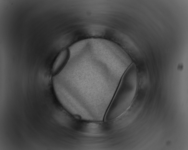 X0000102860176200809081314