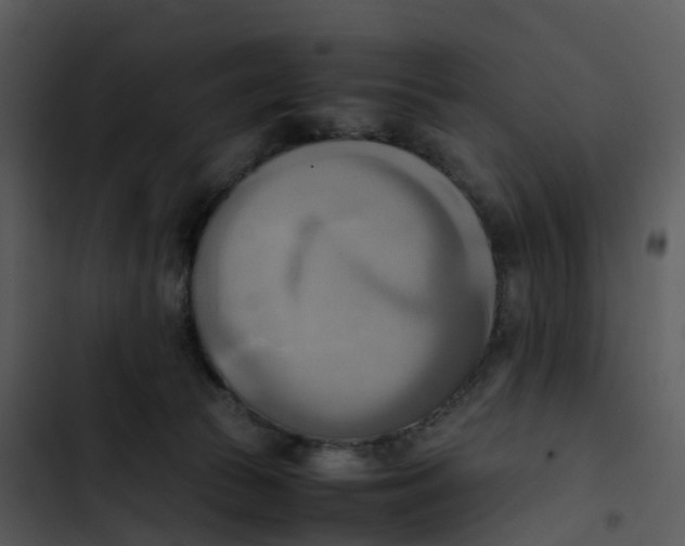 X0000102860177200809081314