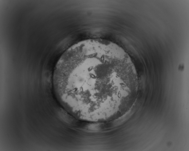 X0000102860178200809081314