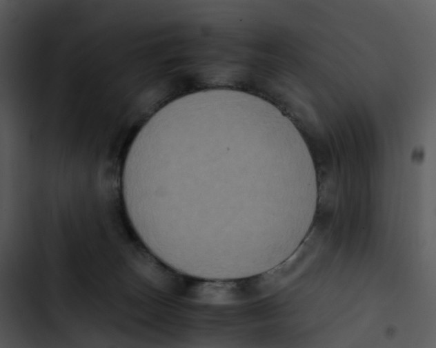 X0000102860179200809081314