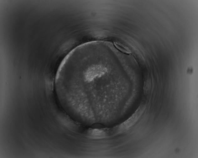 X0000102860180200809081314