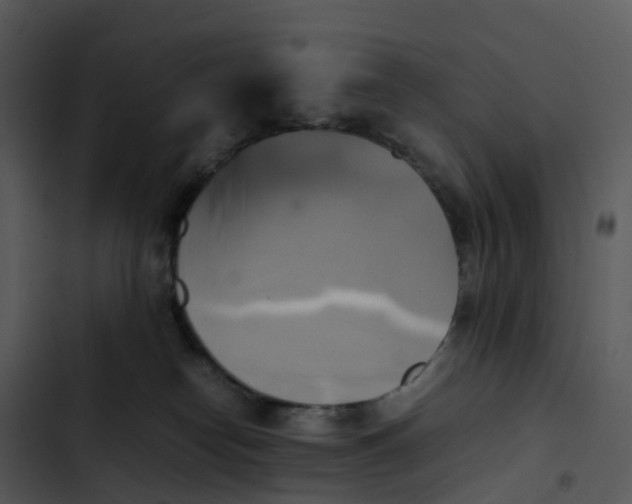 X0000102860182200809081314