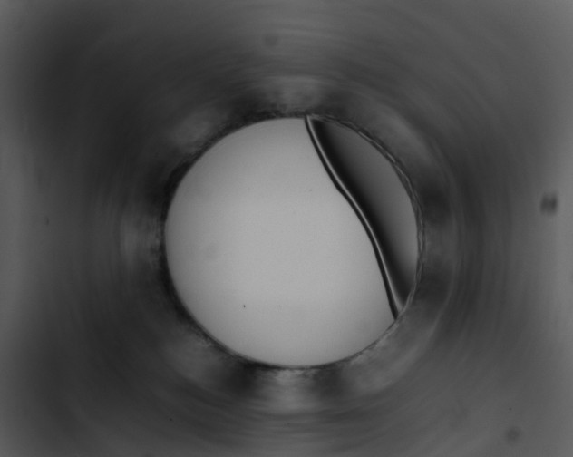 X0000102860184200809081314