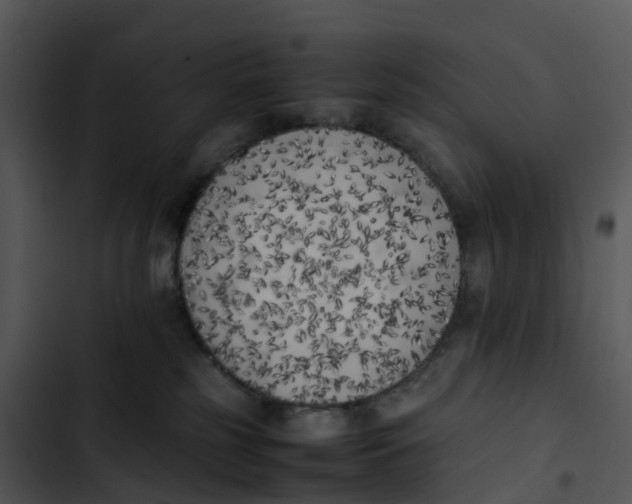 X0000102860185200809081314