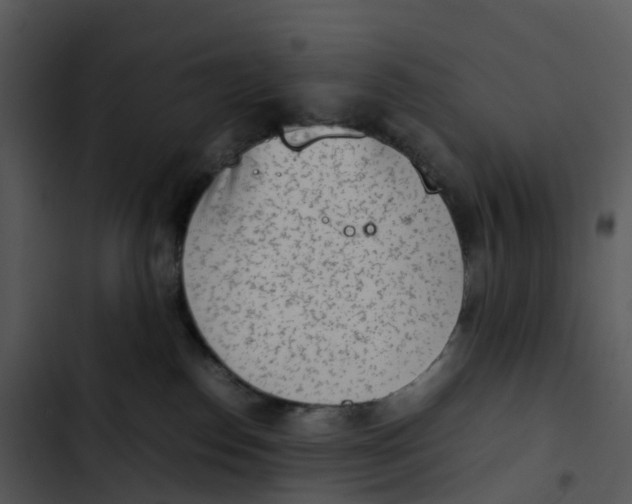 X0000102860186200809081314