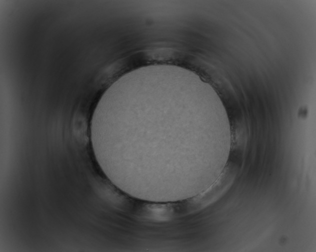 X0000102860187200809081314