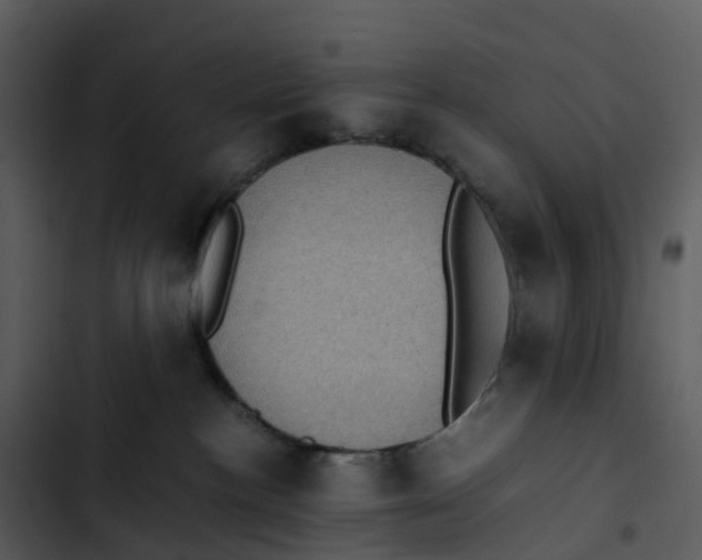 X0000102860188200809081314