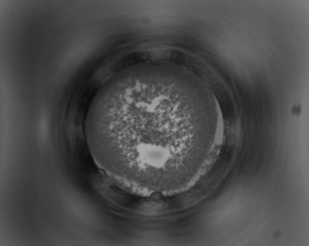 X0000102860189200809081314