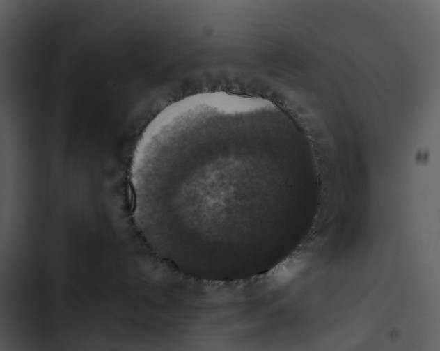 X0000102860192200809081314