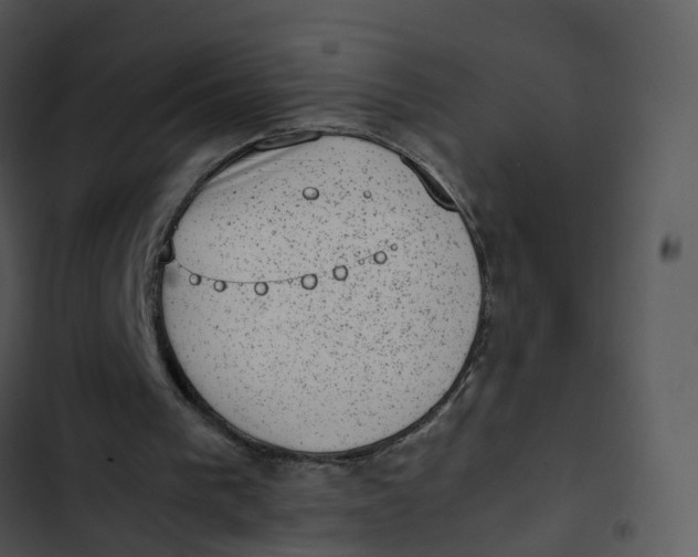 X0000102860193200809081314