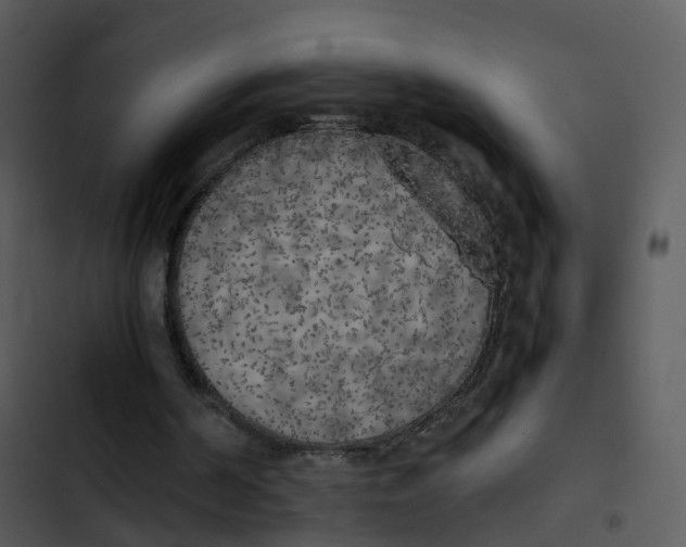 X0000102860194200809081314