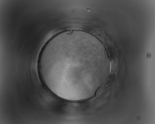 X0000102860195200809081314