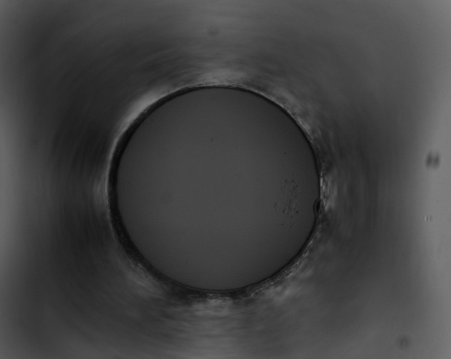 X0000102860196200809081314