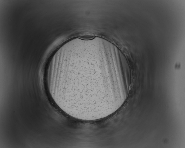 X0000102860197200809081314