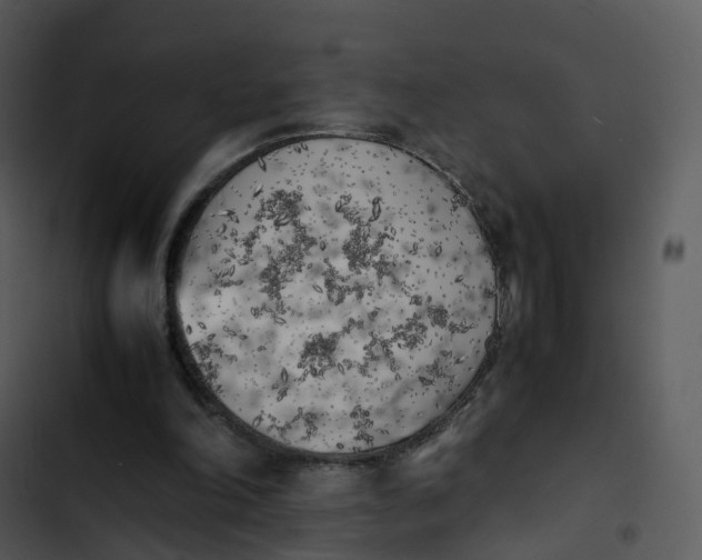 X0000102860198200809081314