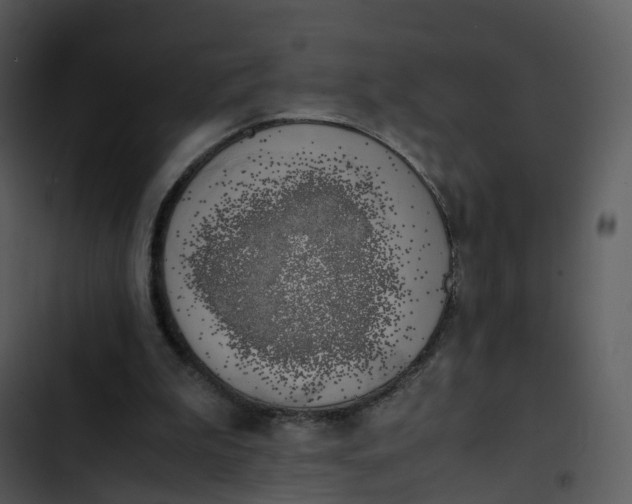 X0000102860199200809081314