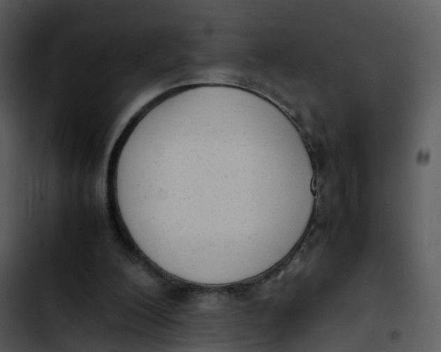 X0000102860200200809081314