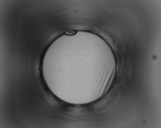 X0000102860201200809081314