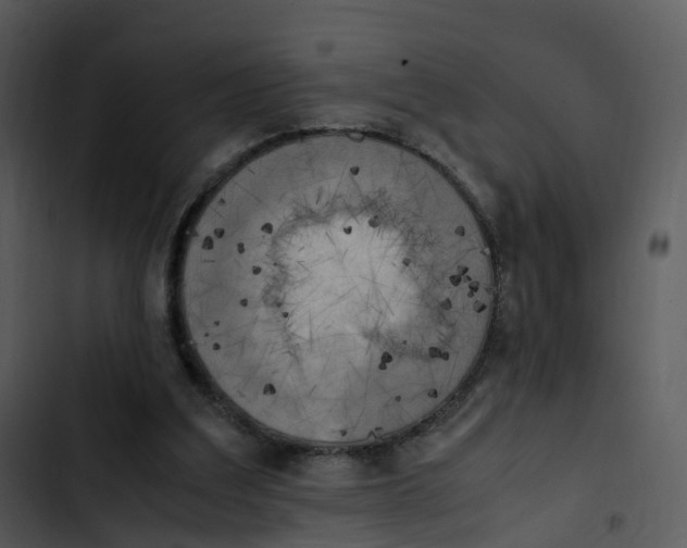 X0000102860203200809081314