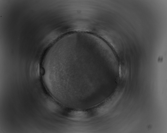 X0000102860205200809081314