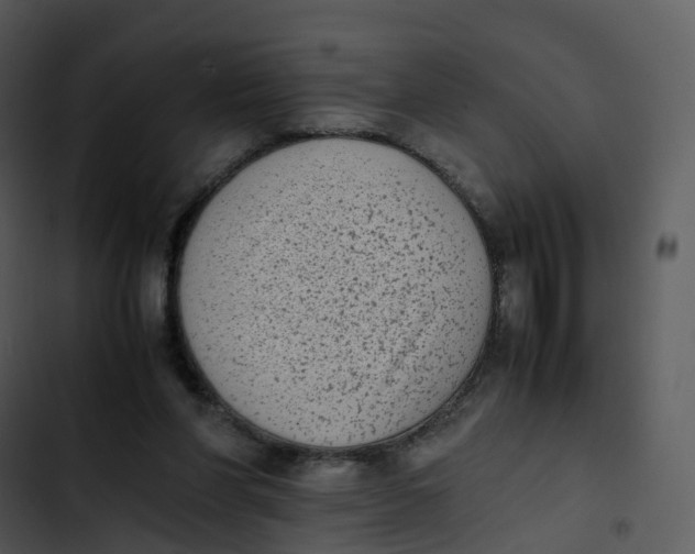 X0000102860206200809081314