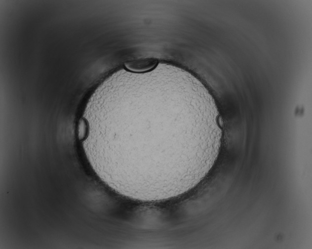 X0000102860207200809081314