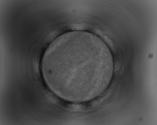 X0000102860209200809081313