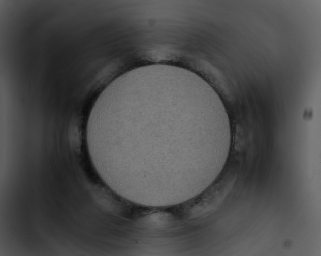 X0000102860210200809081313