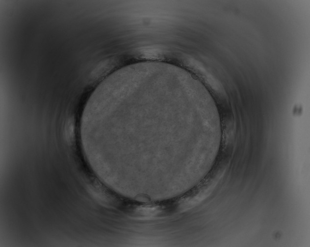 X0000102860213200809081313