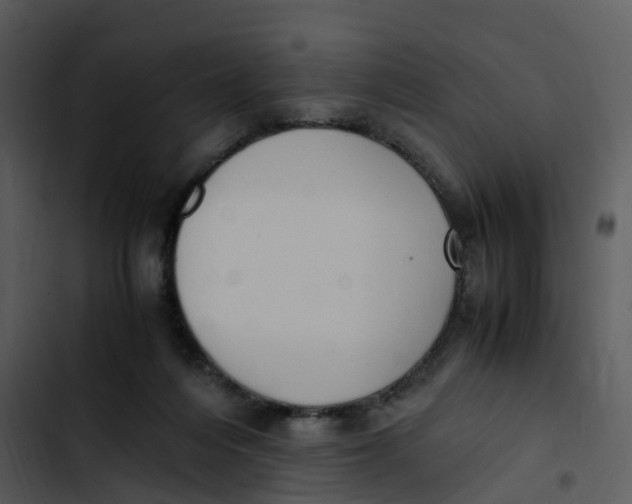 X0000102860216200809081313