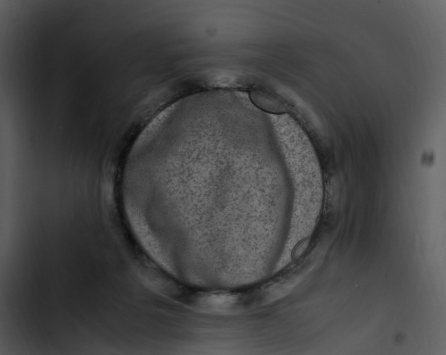 X0000102860217200809081313