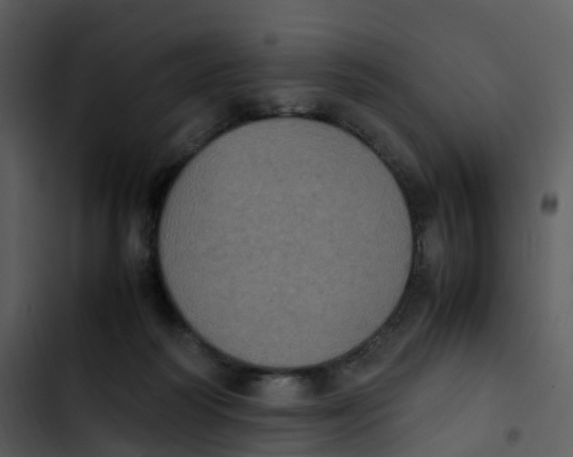 X0000102860218200809081313