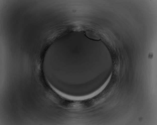 X0000102860219200809081313