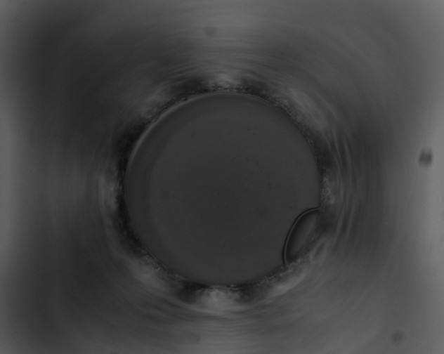 X0000102860223200809081313