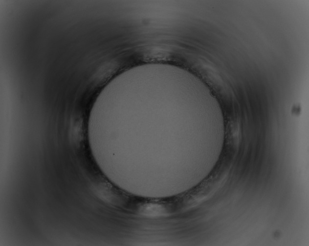 X0000102860224200809081313