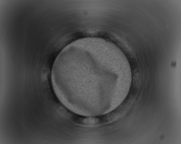 X0000102860225200809081313