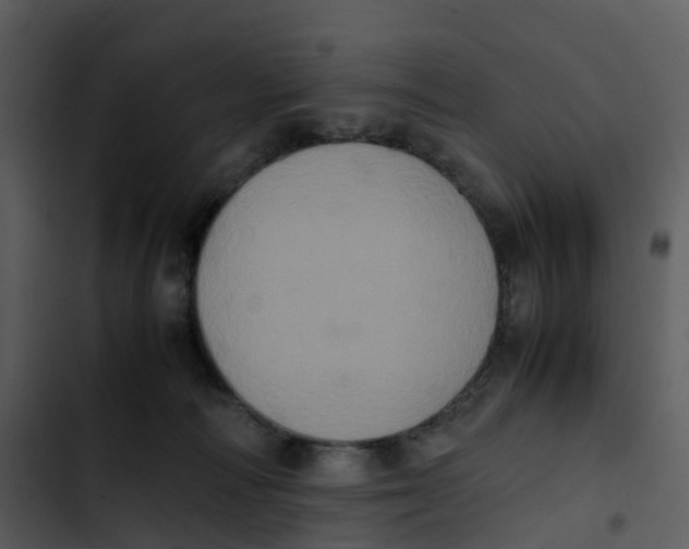 X0000102860226200809081313